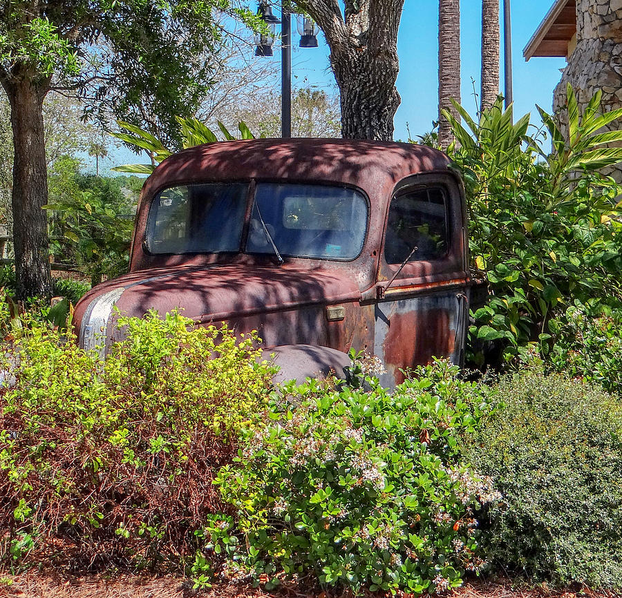 Old Truck #1 Photograph by Dennis Dugan