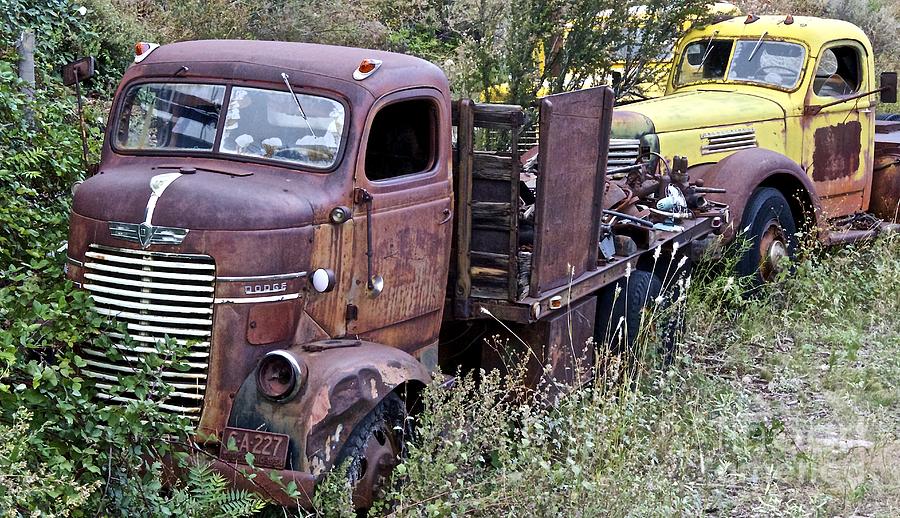 Old Trucks Never Die Photograph By Anthony Jones Pixels
