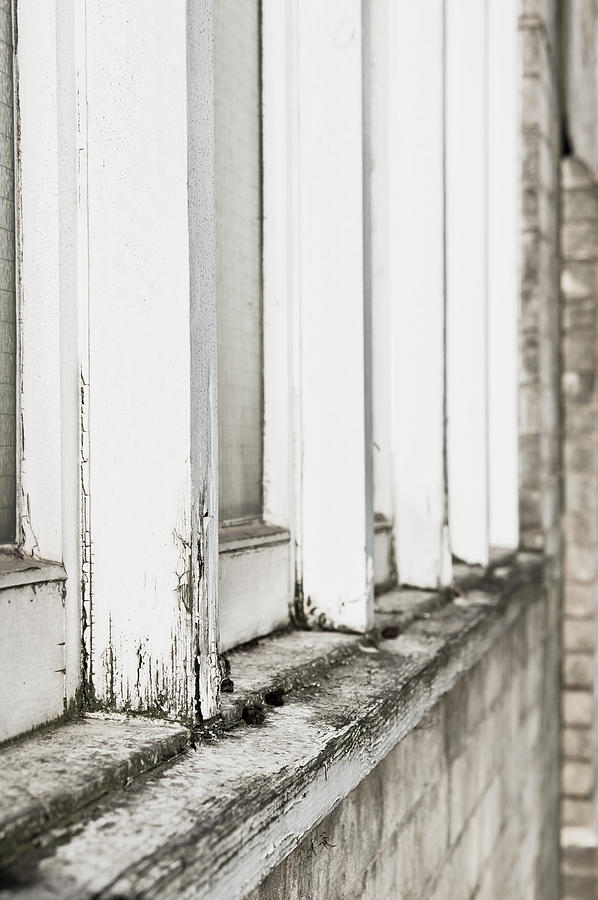 Architecture Photograph - Old window frame #1 by Tom Gowanlock