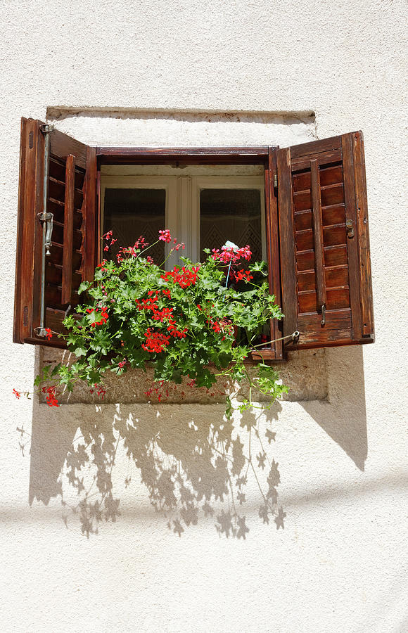 Old window With Flowers #1 Photograph by Sally Weigand