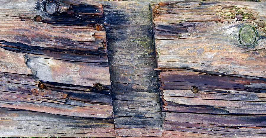 Abstract Photograph - Old wood #1 by Tom Gowanlock