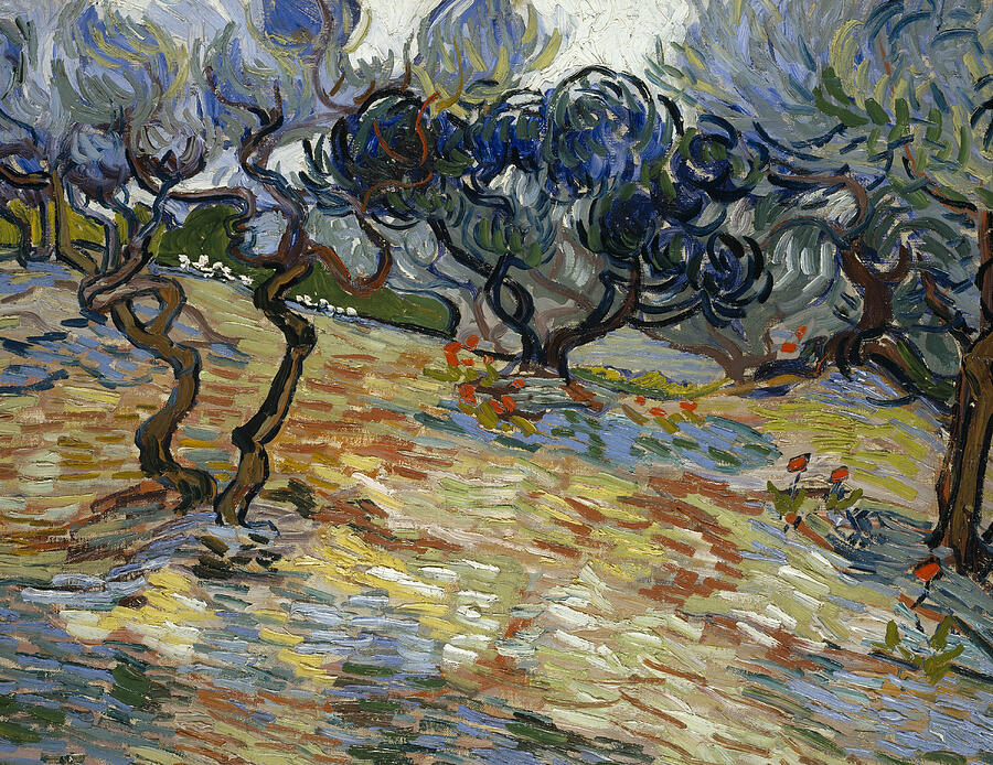 Olive Trees, from 1889 Painting by Vincent van Gogh
