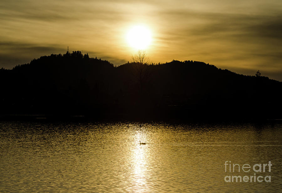 On Golden Pond #2 Photograph by Nick Boren