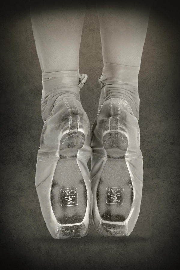On Pointe  #1 Photograph by Steve Lucas