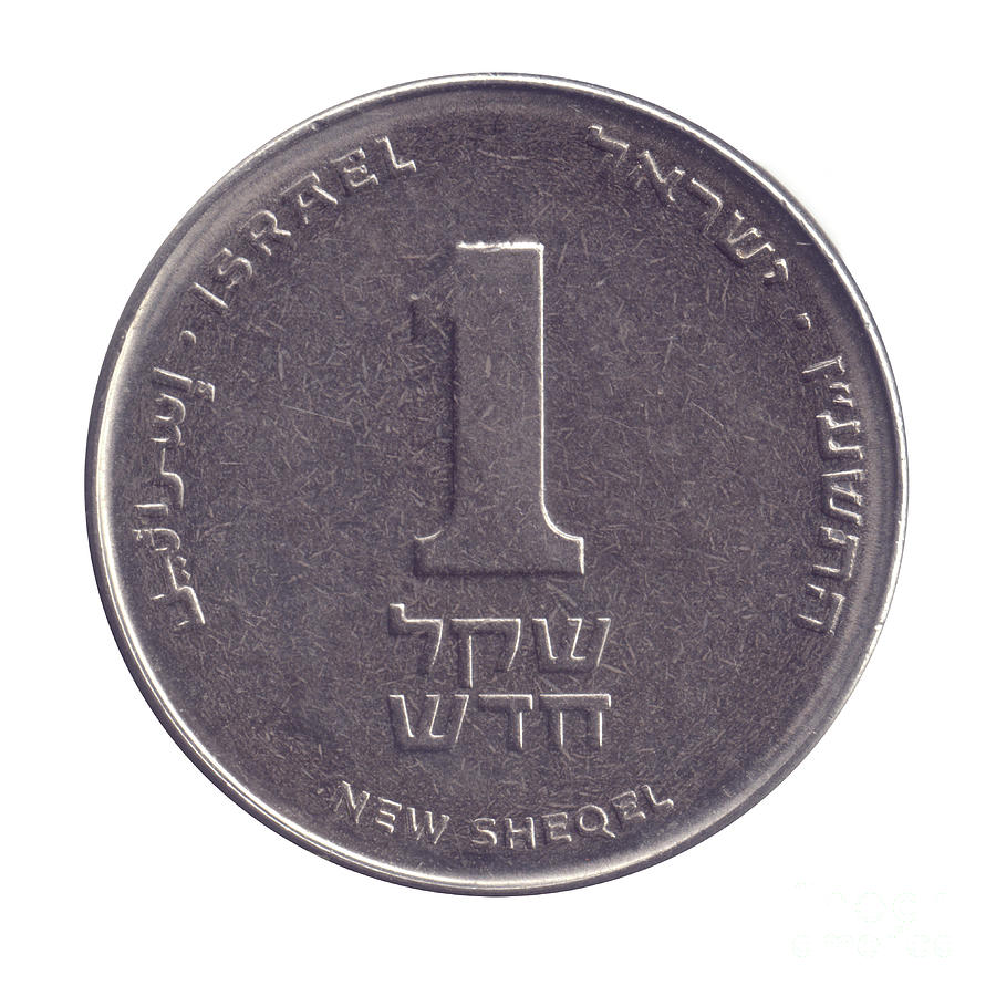 shekel coin crypto