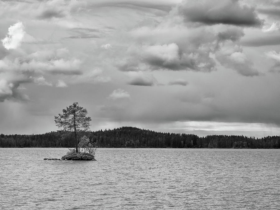 One Pine Island. BW. Koirajarvi Photograph by Jouko Lehto