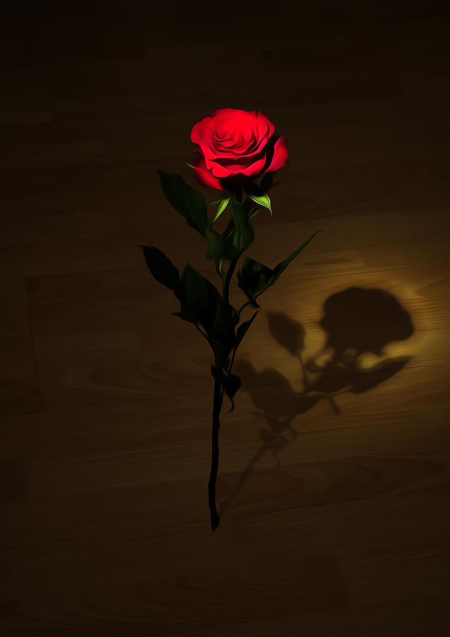 One Red Rose Photograph by Svetlana Sewell | Pixels
