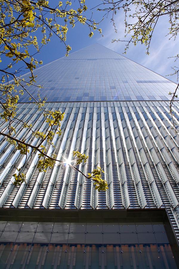 One World Trade Center #1 Photograph by Flavia Westerwelle