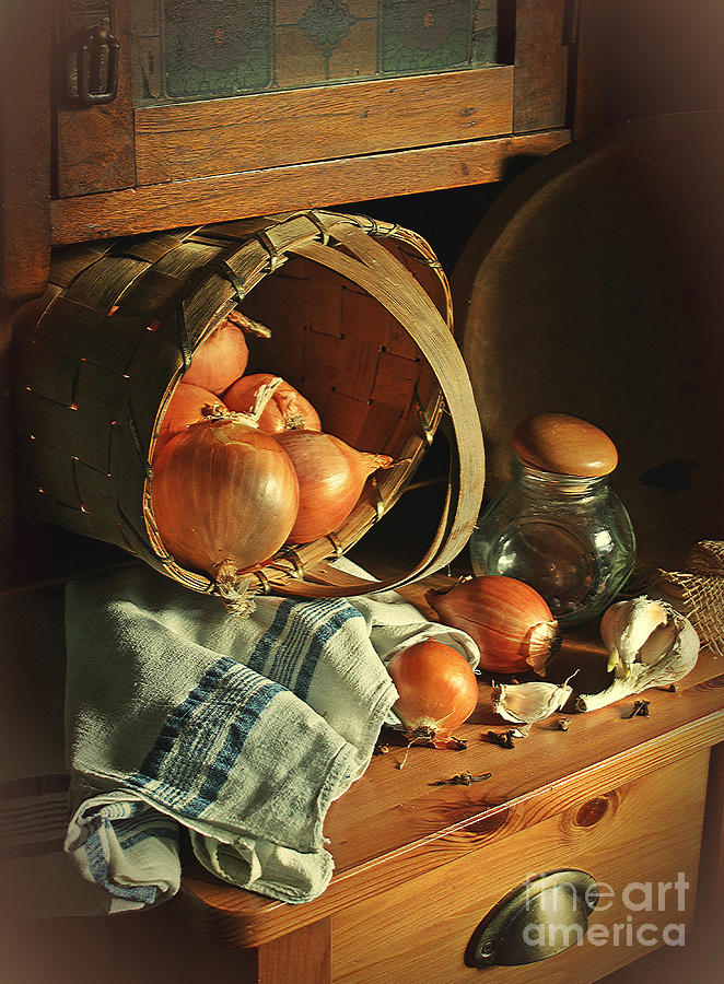 Vintage Photograph - Onionart #2 by Binka Kirova