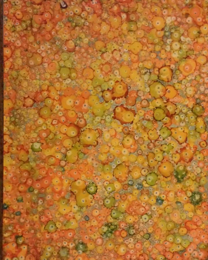 Orange Craze Painting by Betsy Carlson Cross