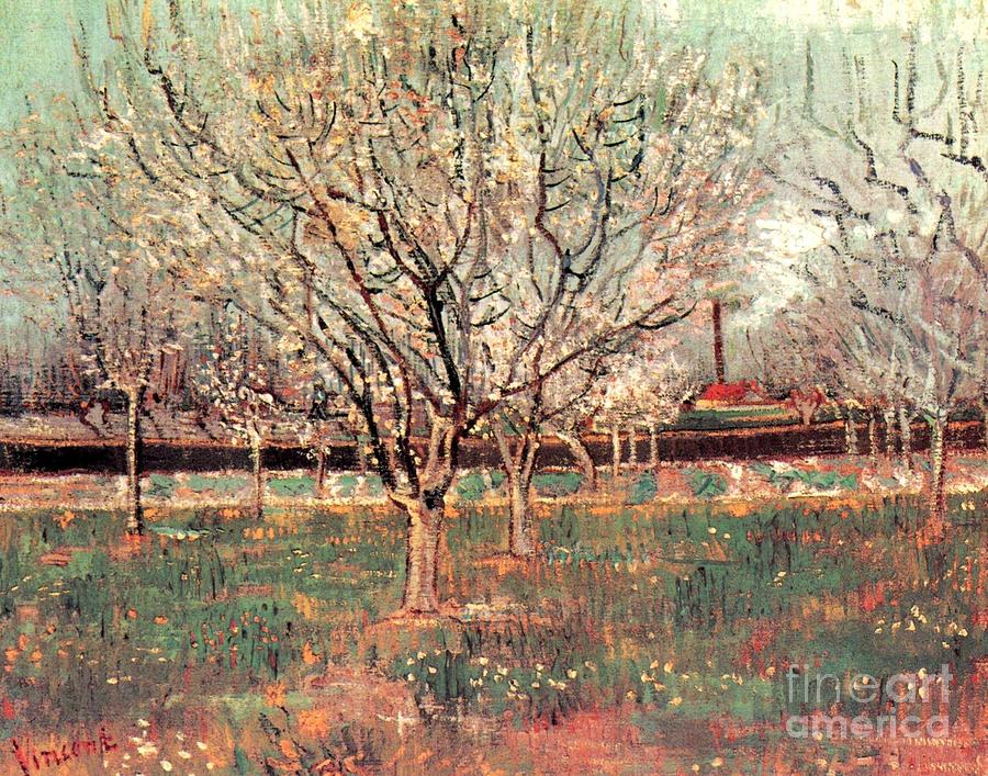 Orchard In Blossom Plum Trees Painting By Vincent Van Gogh - Fine Art ...