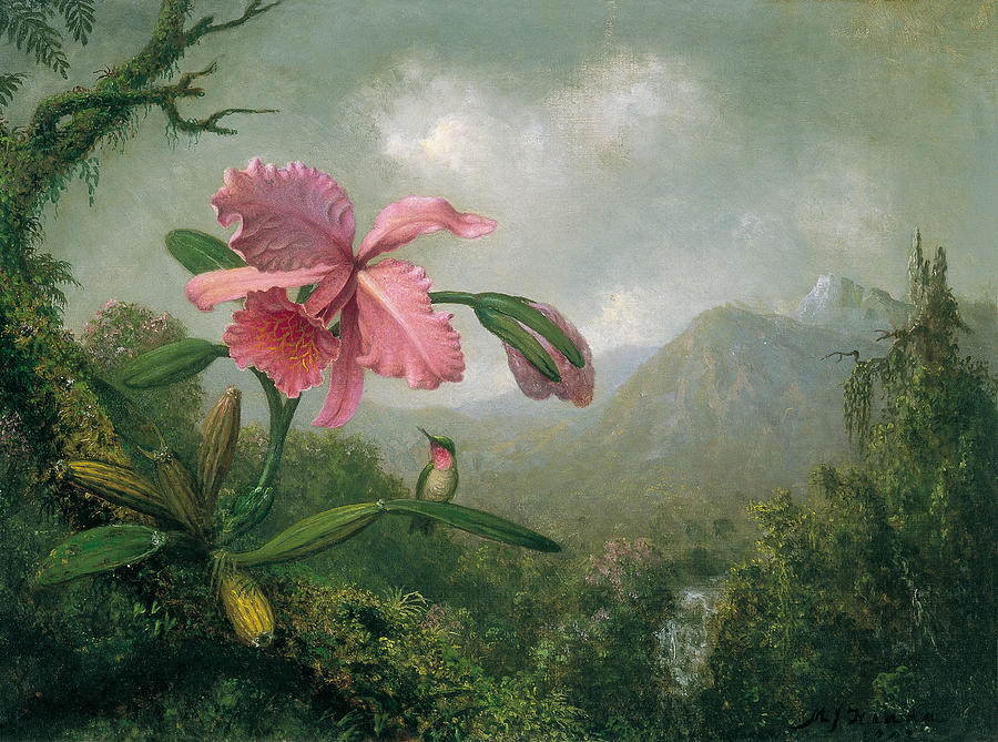 Orchid And Hummingbird Near A Mountain Waterfall Painting