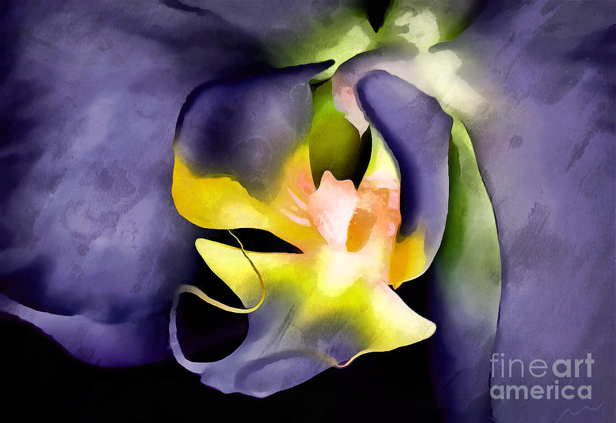 Orchid Photograph - Orchid Of Fantasy #1 by Krissy Katsimbras