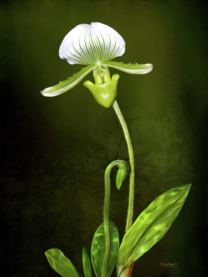 Orchid #1 Digital Art by Thanh Thuy Nguyen