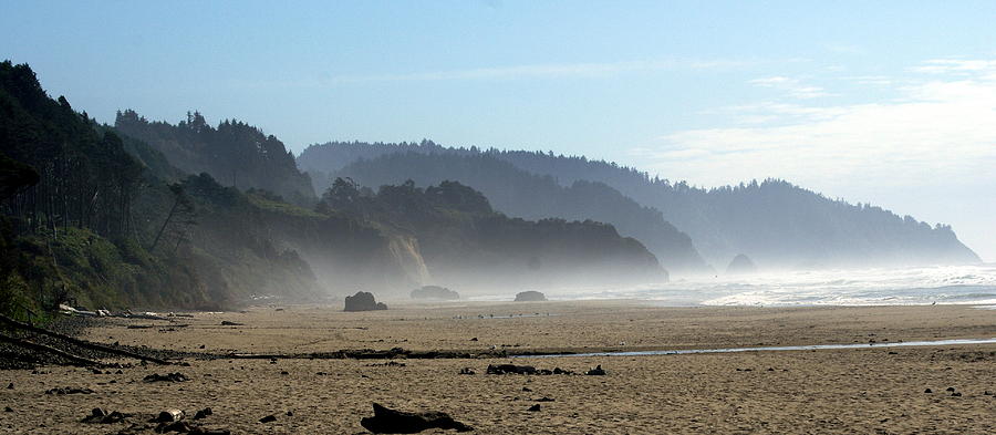 Oregon Coast 8 #1 Photograph by Marty Koch