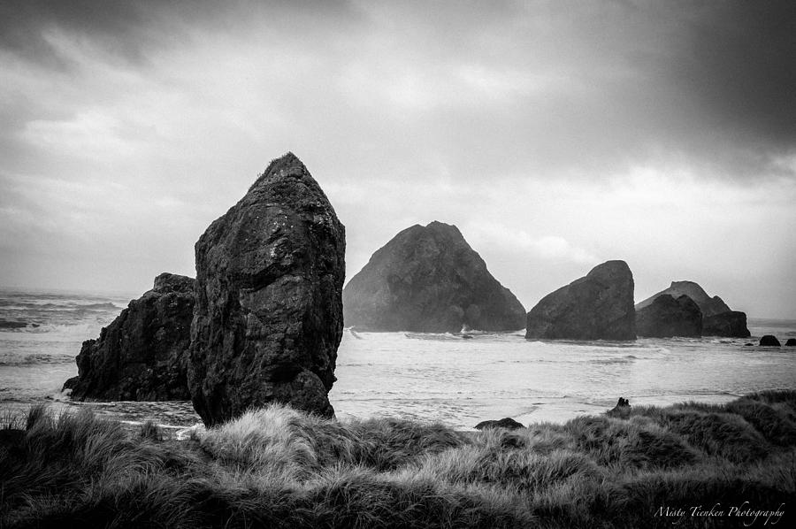 Oregon Coast #1 Photograph by Misty Tienken