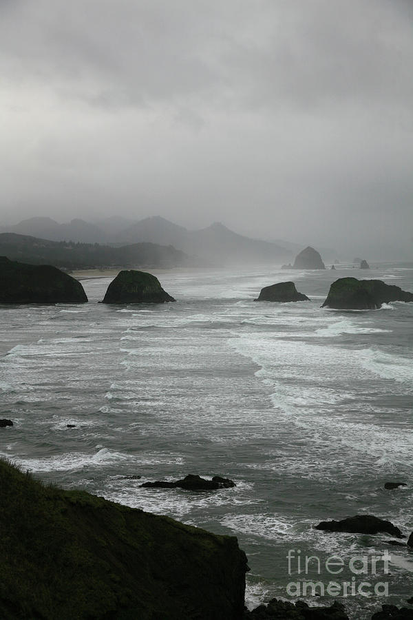 Oregon Coast #1 Photograph by Timothy Johnson