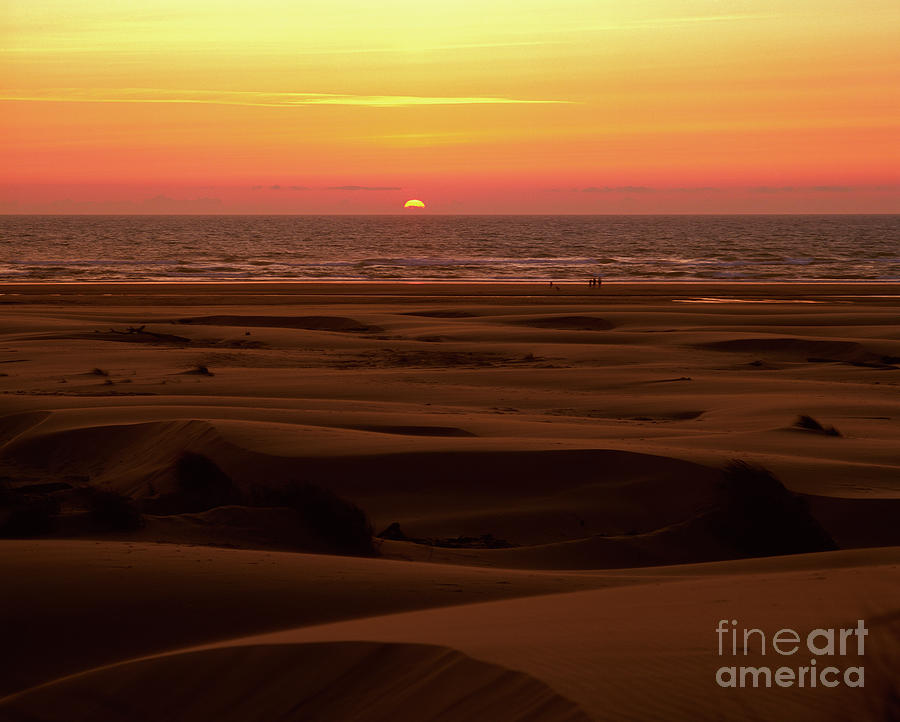 Oregon - Florence Sand Dunes Sunset #1 Photograph by Terry Elniski