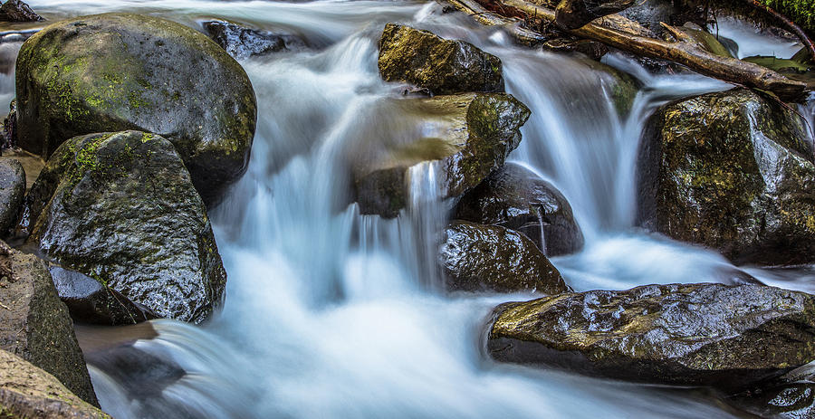 Oregon stream  #1 Photograph by John McGraw