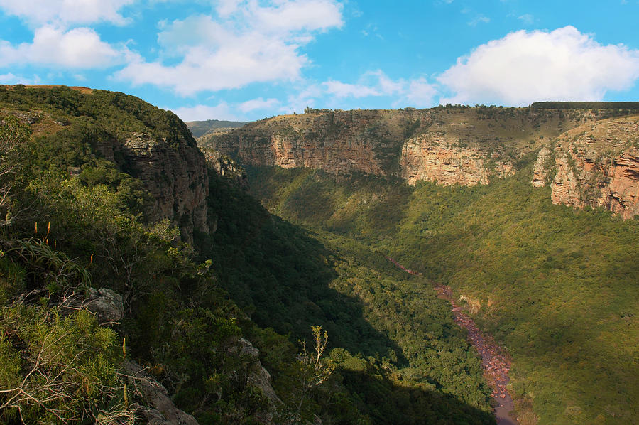 Oribi Gorge South Africa #1 Photograph by David Drew