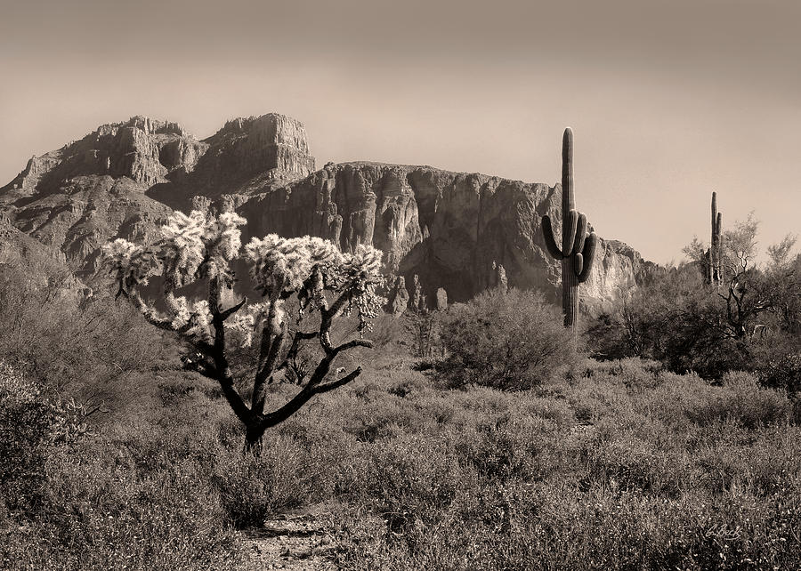 Mountain Photograph - Out Arizona Way #2 by Gordon Beck