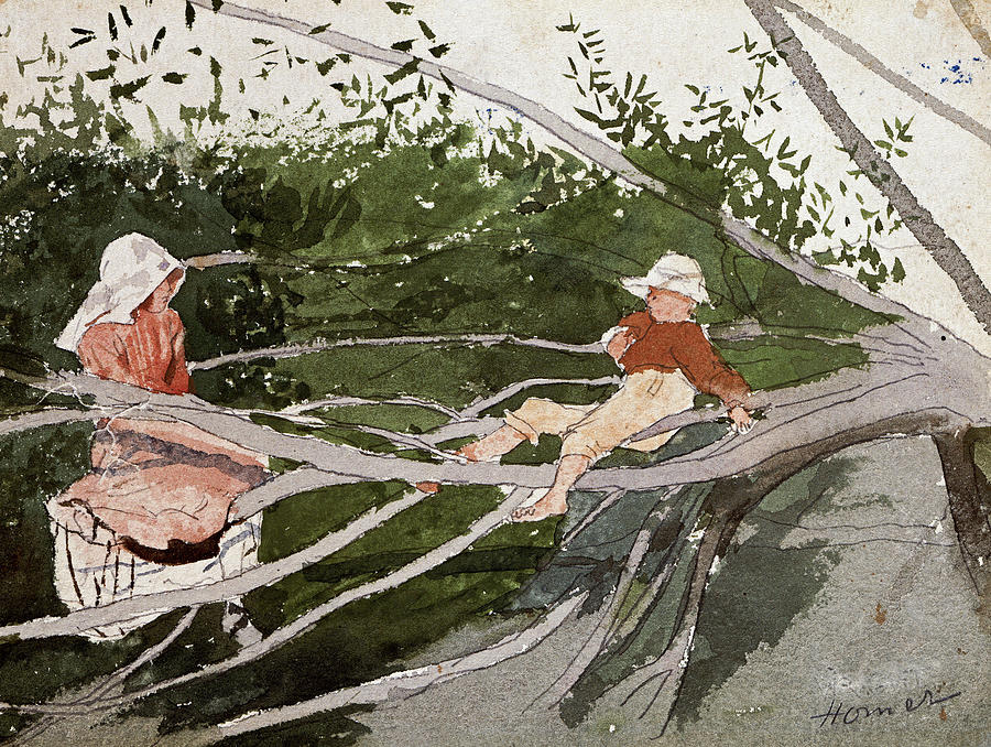 Out on a Limb Drawing by Winslow Homer