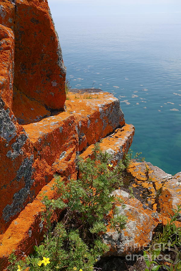 Out on the Edge #1 Photograph by Sandra Updyke