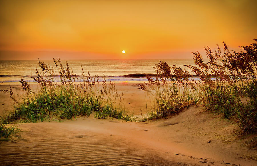 Outer Banks Sand Dune Sunrise #1 Photograph by Dan Carmichael