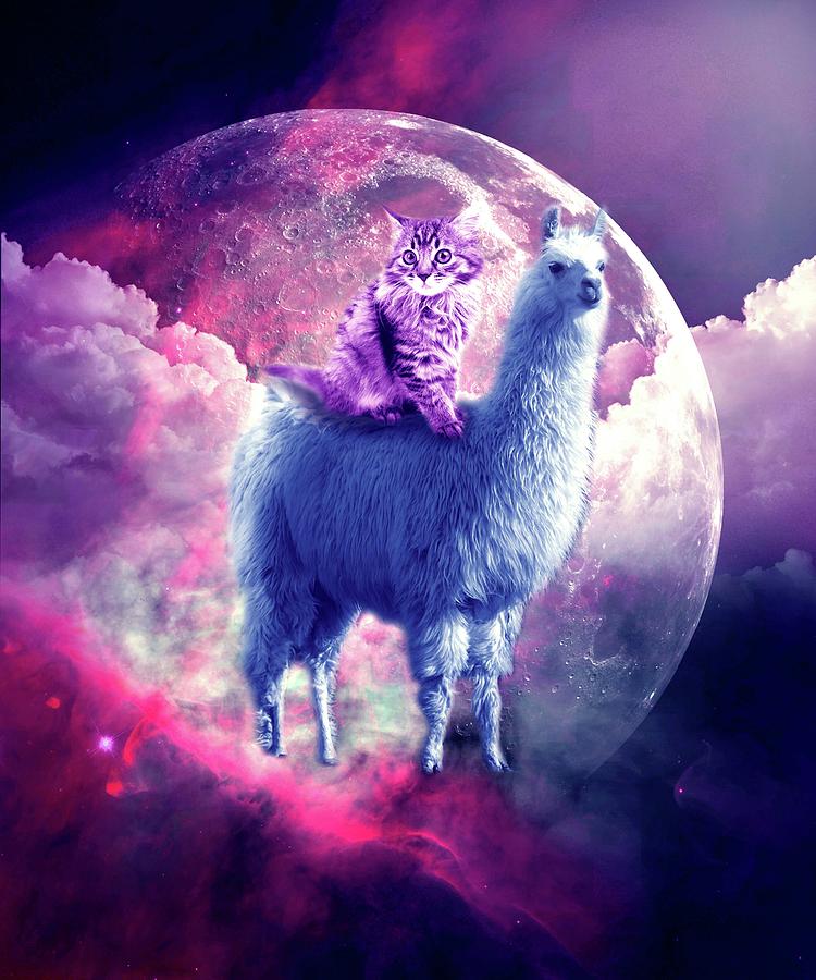 Outer Space Galaxy  Kitty Cat  Riding On Llama Digital Art 