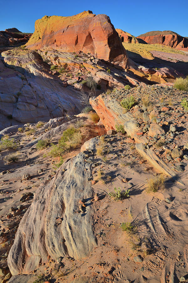 Overlooking Pastel Canyon in Valley of Fire #1 Photograph by Ray Mathis
