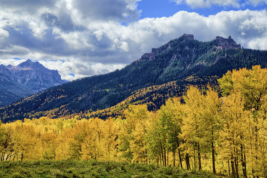 Owl Creek Pass Fall Colors Photograph by Tyler Grundvig - Fine Art America