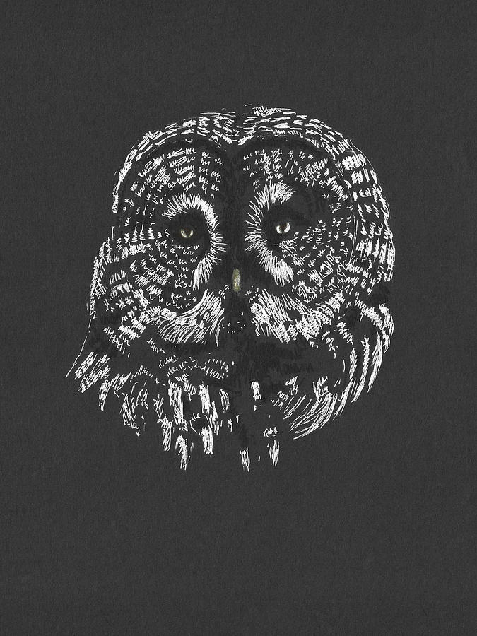 Owl #2 Drawing by Masha Batkova