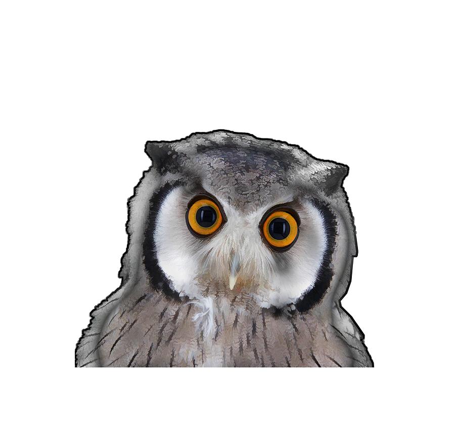OWL #1 Digital Art by Roger Lighterness