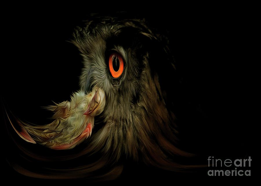 Owl With Prey Digital Art