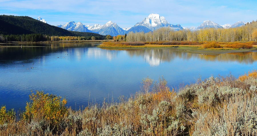 Oxbow Bend #1 Photograph by Charlotte Schafer