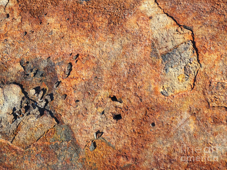 Oxidation I  Photograph by Pat Miller
