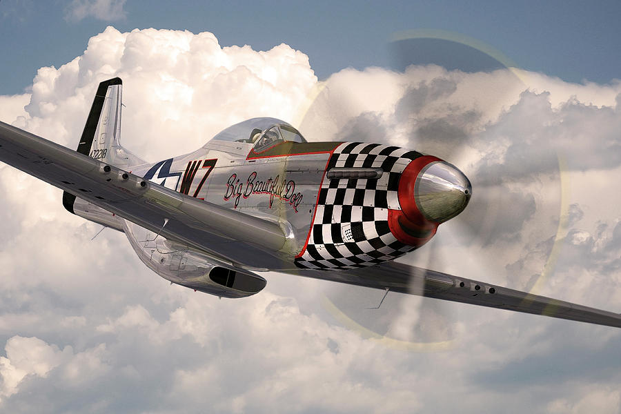 P-51 Mustang Big Beautiful Doll Digital Art by Airpower Art