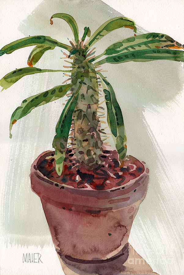 Pachypodium Painting by Donald Maier