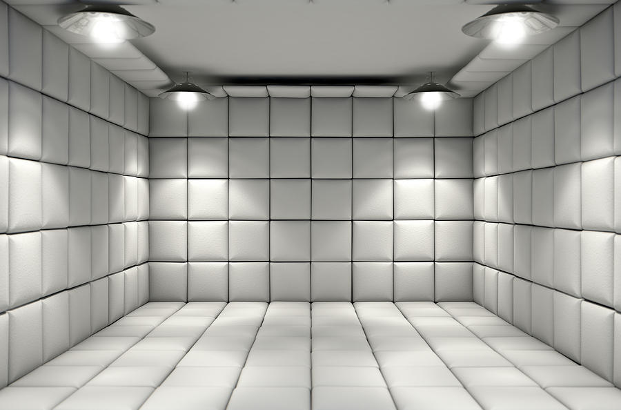 Padded Cell #1 by Allan Swart
