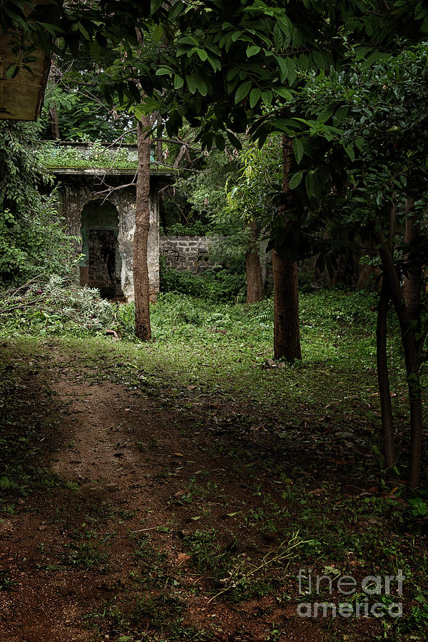 Paigah tomb ruins #1 Photograph by Kiran Joshi