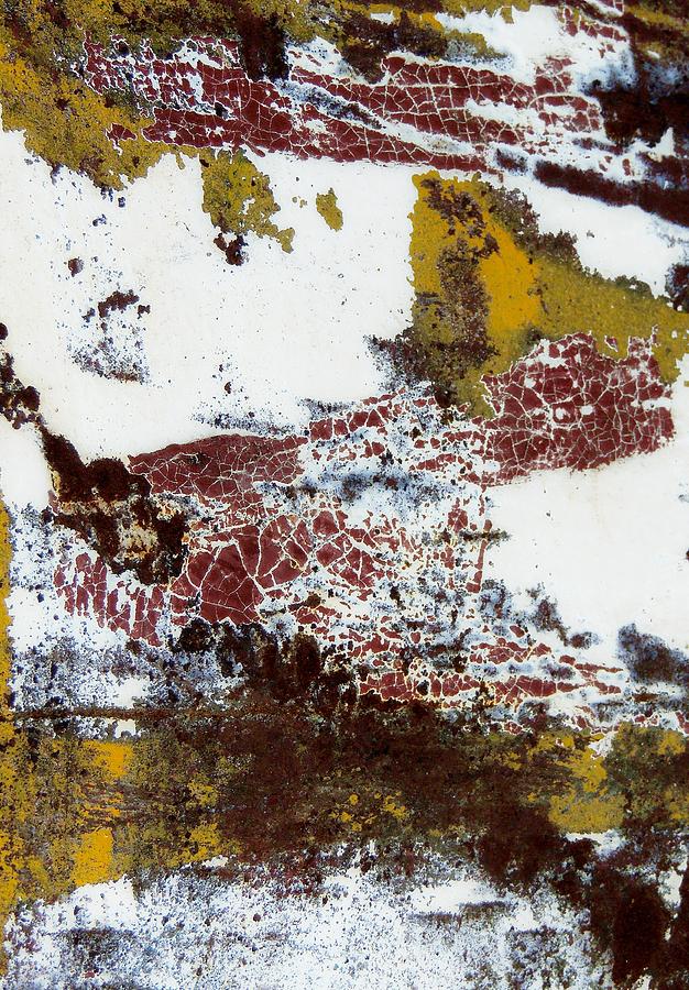 Paint and Rust Abstract 1 #1 Photograph by Denise Clark