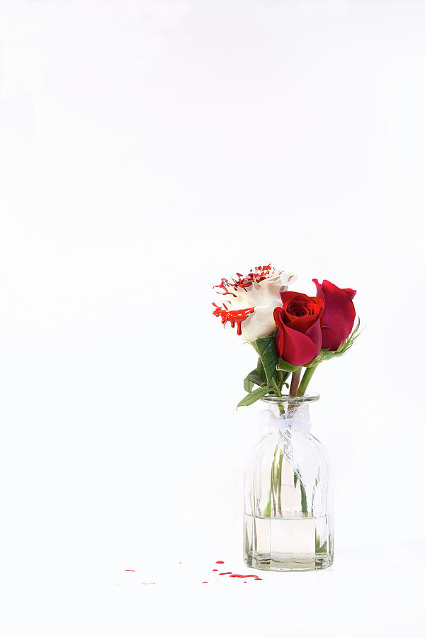Still Life Photograph - Paint the Roses Red by Amber Kresge