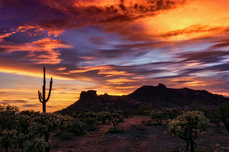 Paint The Sonoran Skies  #1 Photograph by Saija Lehtonen