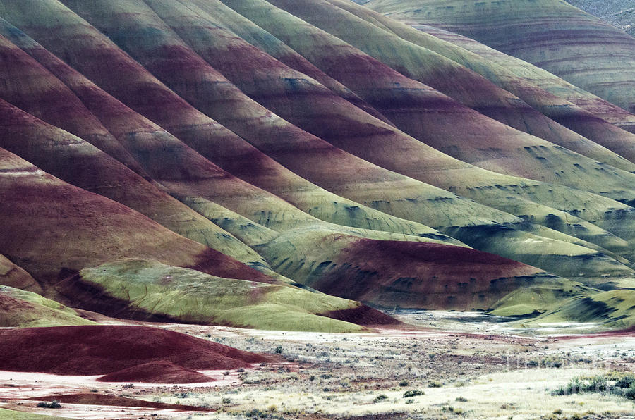 John Day Painted Hills 4 Photograph by Bob Christopher