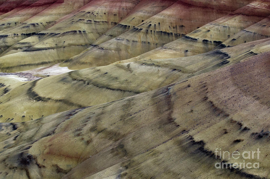 John Day Painted Hills 2 Photograph by Bob Christopher