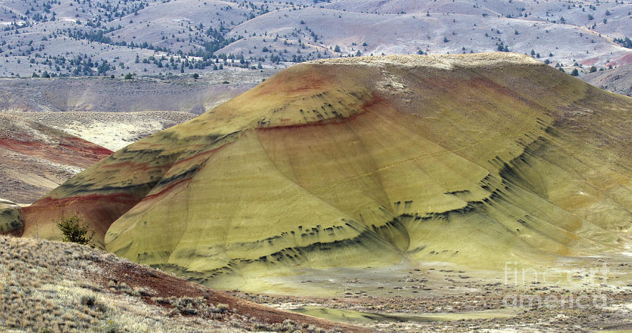 John Day Painted Hills 11 Photograph by Bob Christopher