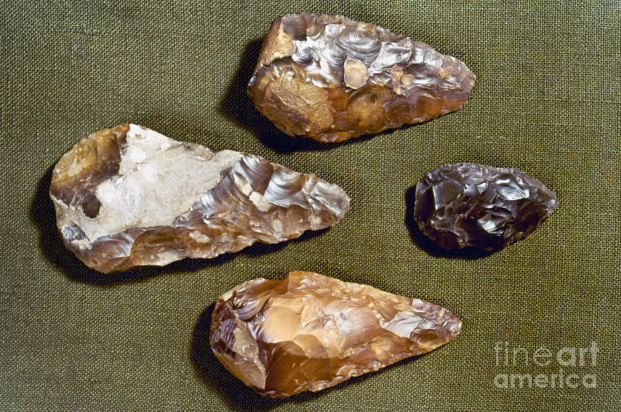 Paleolithic Photograph - Paleolithic Tools #1 by Granger