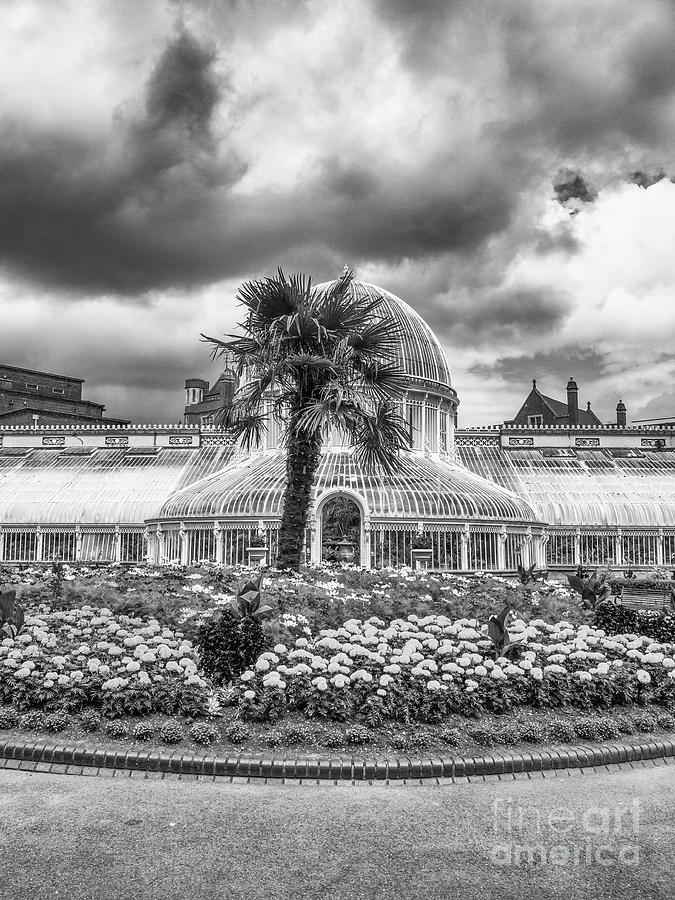 Palm House #1 Photograph by Jim Orr