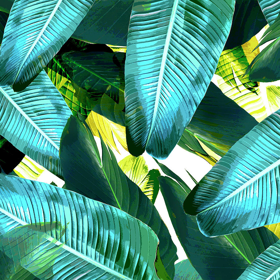 Palm leaf tropicana2 Photograph by Chrissy Ink - Fine Art America