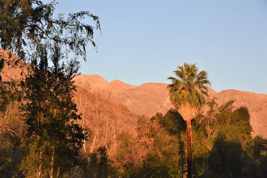 Palm Springs Sunrise #1 Photograph by Lisa Dunn